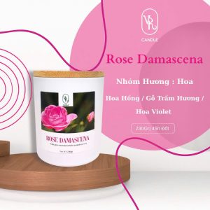 Rosa Damascena